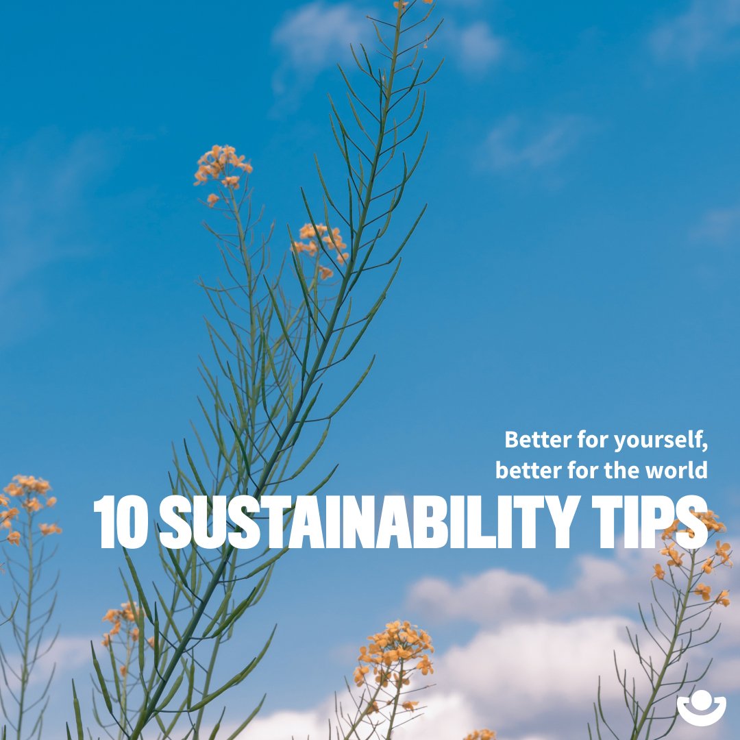 Sustainable lifestyle tips for busy professionals