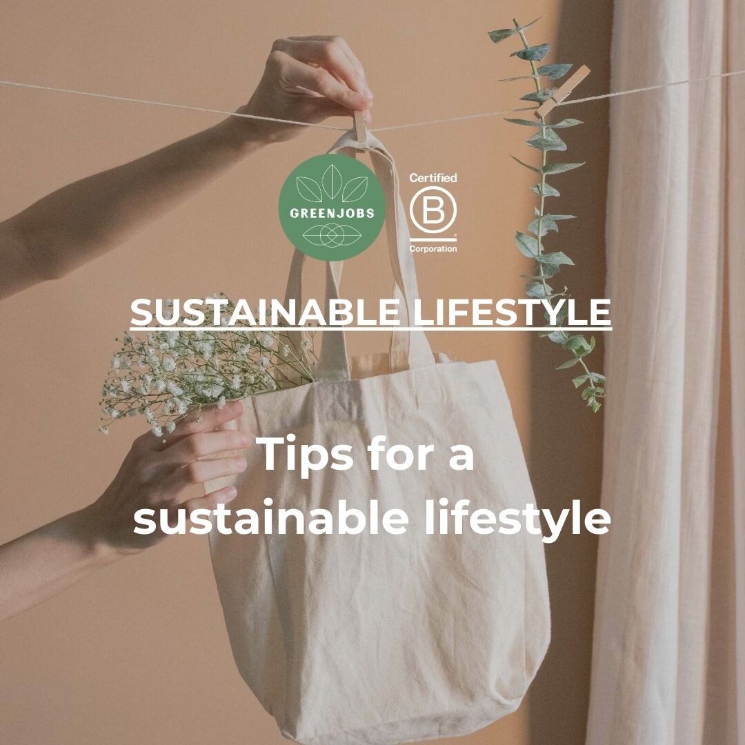 Sustainable lifestyle tips for busy professionals