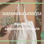 Sustainable lifestyle tips for busy professionals