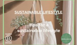 Sustainable lifestyle tips for busy professionals