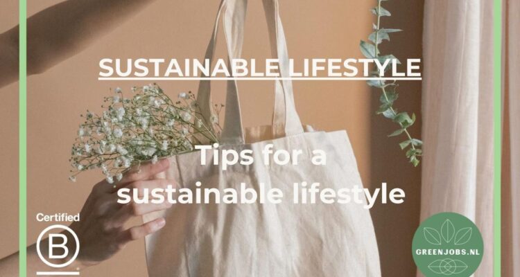 Sustainable lifestyle tips for busy professionals
