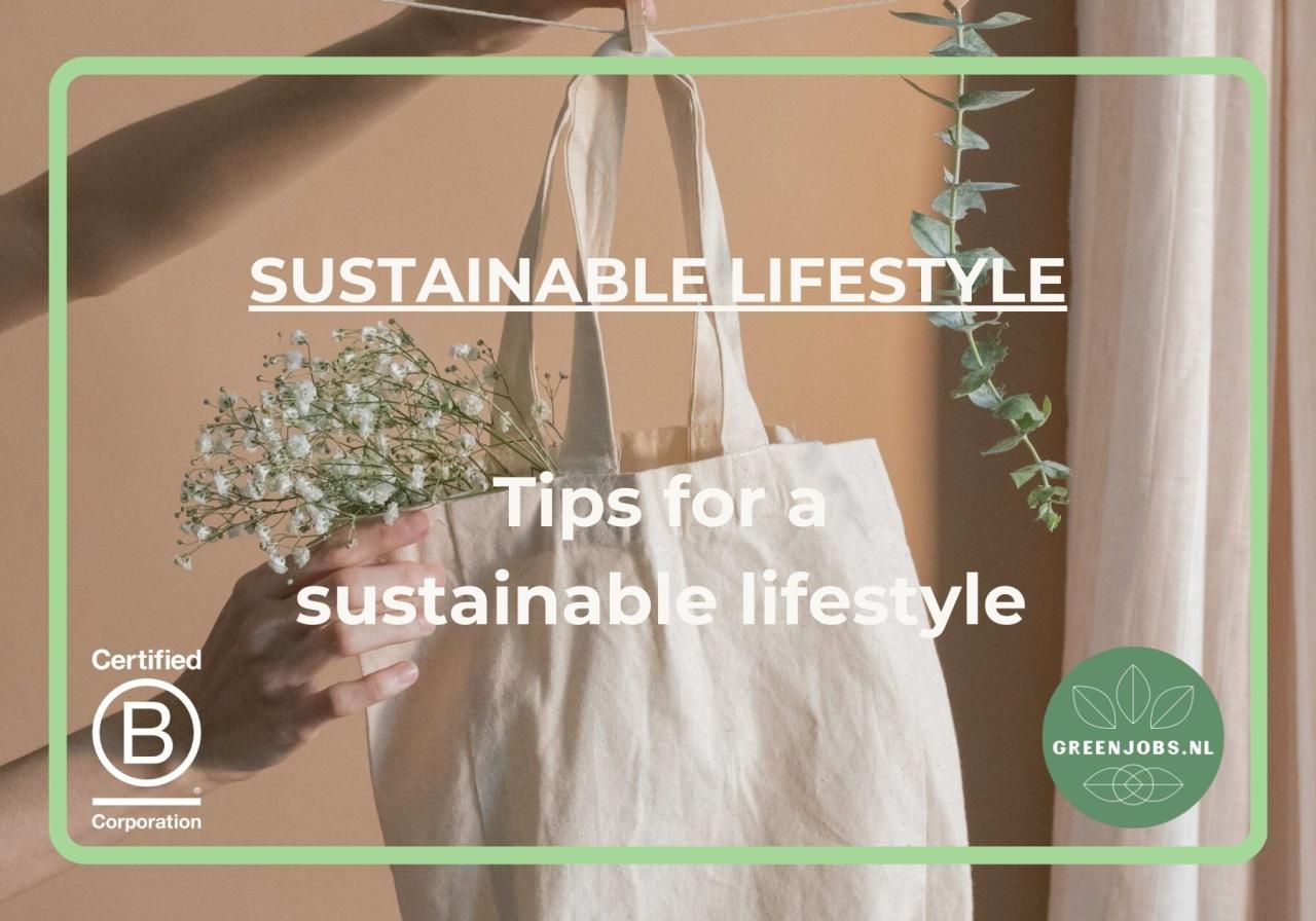 Sustainable lifestyle tips for busy professionals