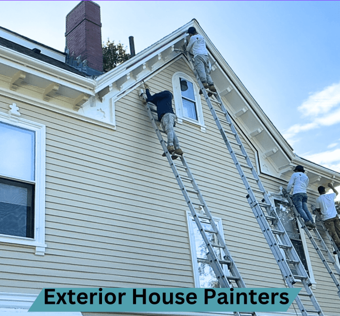 Exterior House Painters