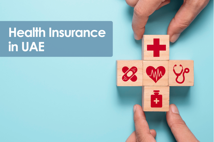 Promoting Wellness and Sustainable Urban Living with Health Insurance ... Promoting Wellness and Sustainable Urban Living with Health Insurance ...